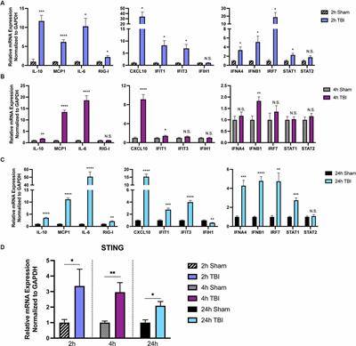 Type I Interferon Response Is Mediated by NLRX1-cGAS-STING Signaling in Brain Injury